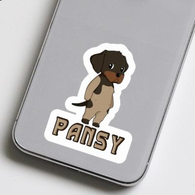 German Wirehaired Sticker Pansy Gift package Image