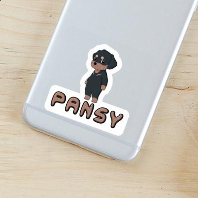 Sticker Pansy Rottweiler Gift package Image