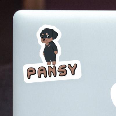 Sticker Pansy Rottweiler Laptop Image