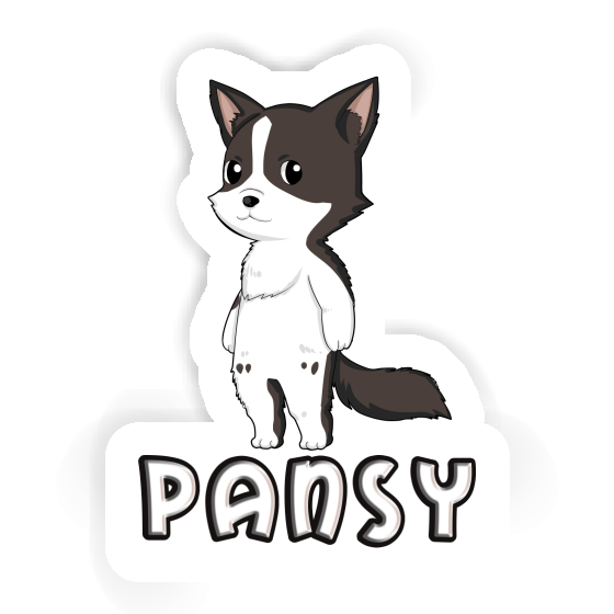 Sticker Border Collie Pansy Gift package Image