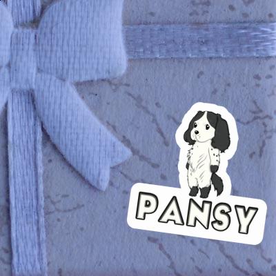 Sticker Spaniel Pansy Gift package Image