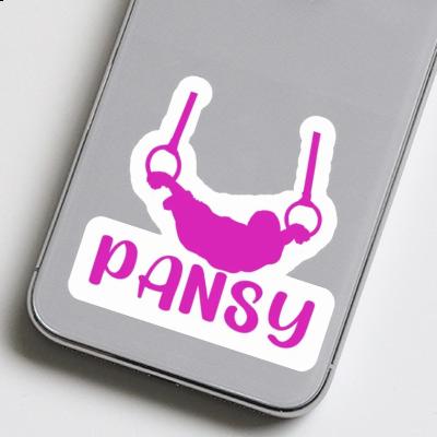 Pansy Sticker Ringturnerin Gift package Image