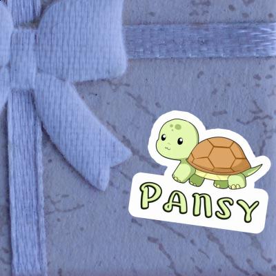 Autocollant Tortue Pansy Gift package Image