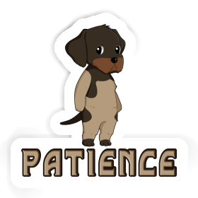 Patience Autocollant Braque allemand à poil dur Image
