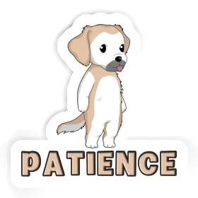 Autocollant Patience Golden Retriever Image