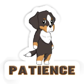 Bouvier bernois Autocollant Patience Image