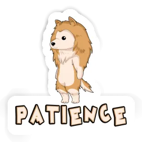 Colley Autocollant Patience Image