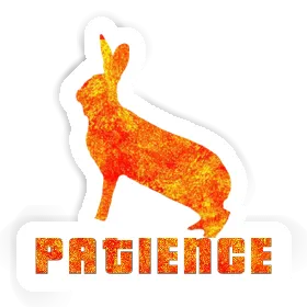 Rabbit Sticker Patience Image