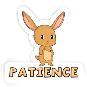 Rabbit Sticker Patience Image