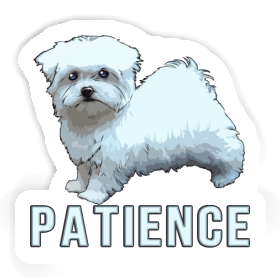 Patience Sticker Maltese Image