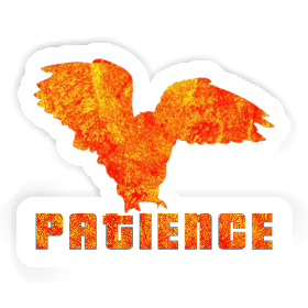 Sticker Owl Patience Image