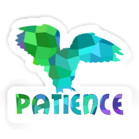 Sticker Patience Owl Image