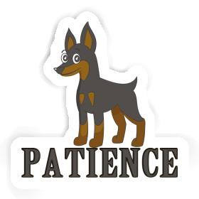 Autocollant Patience Pinscher Image