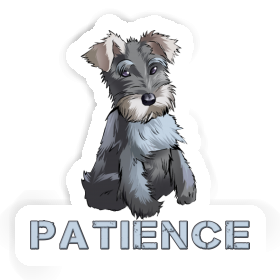 Patience Autocollant Schnauzer Image