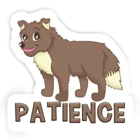 Patience Autocollant Chien de berger Image
