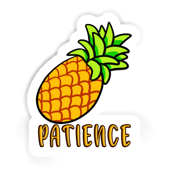 Sticker Pineapple Patience Notebook Sticker Pineapple Patience Gift package Image