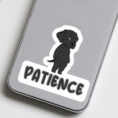 Patience Autocollant Labrador Retriever Notebook Patience Autocollant Labrador Retriever Gift package Image