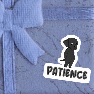 Patience Autocollant Labrador Retriever Gift package Image