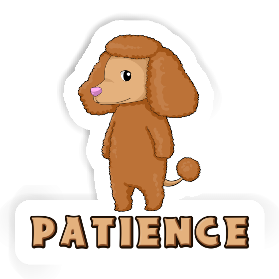 Caniche Autocollant Patience Laptop Caniche Autocollant Patience Laptop Image