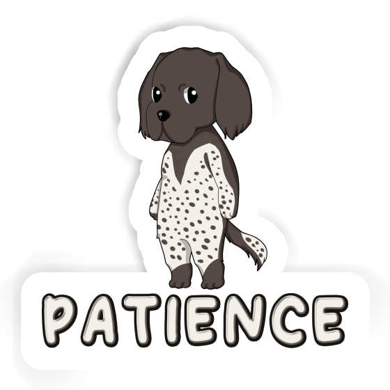 Autocollant Patience Petit Münsterländer Gift package Image