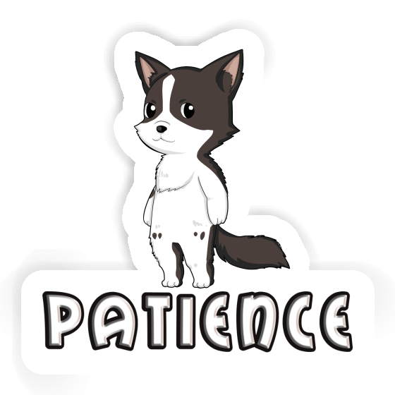 Collie border Autocollant Patience Image