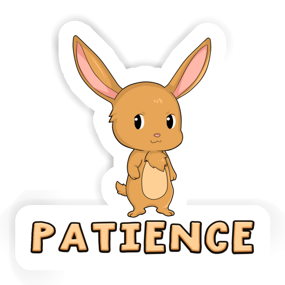 Rabbit Sticker Patience Rabbit Sticker Patience Image