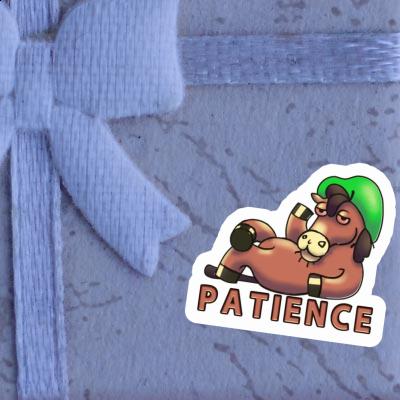 Cheval Autocollant Patience Notebook Cheval Autocollant Patience Gift package Image