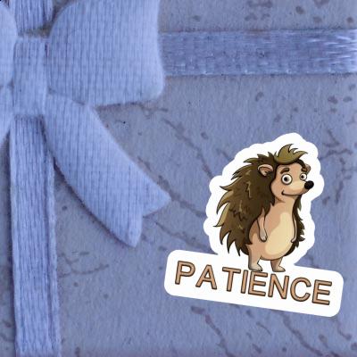 Hedgehog Sticker Patience Notebook Hedgehog Sticker Patience Gift package Image