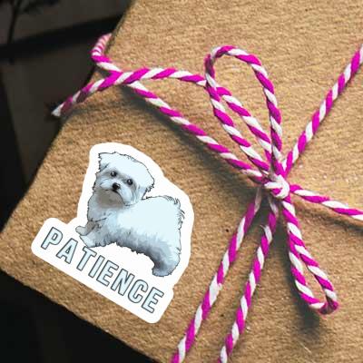 Patience Sticker Maltese Patience Sticker Maltese Image