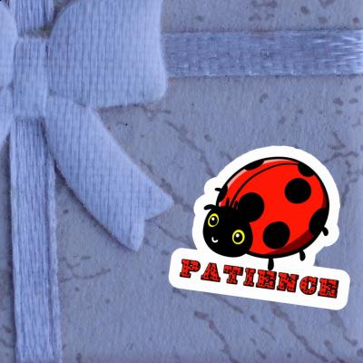 Patience Sticker Marienkäfer Notebook Patience Sticker Marienkäfer Notebook Image