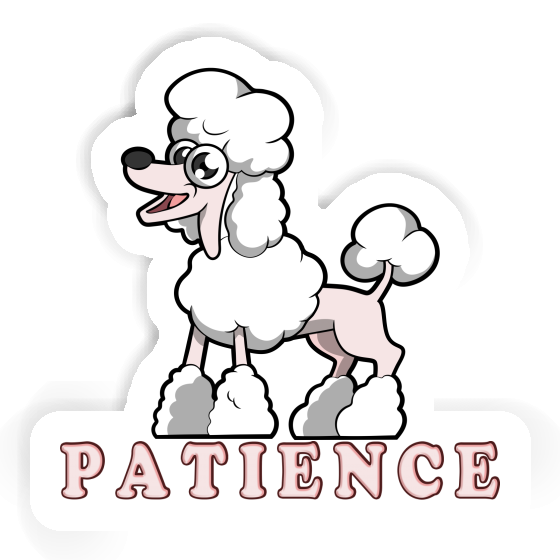 Caniche Autocollant Patience Notebook Caniche Autocollant Patience Gift package Image