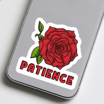 Patience Autocollant Fleur de rose Gift package Image