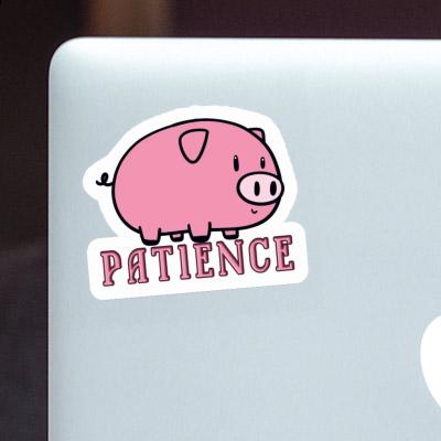 Sticker Pig Patience Laptop Sticker Pig Patience Laptop Image
