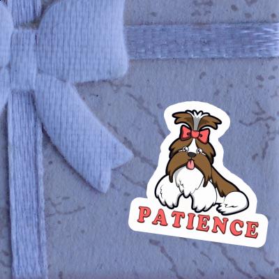 Autocollant Patience Shih Tzu Laptop Autocollant Patience Shih Tzu Laptop Image