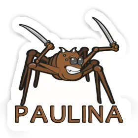 Fighting Spider Sticker Paulina Image