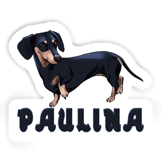 Sticker Paulina Dachshund Gift package Image