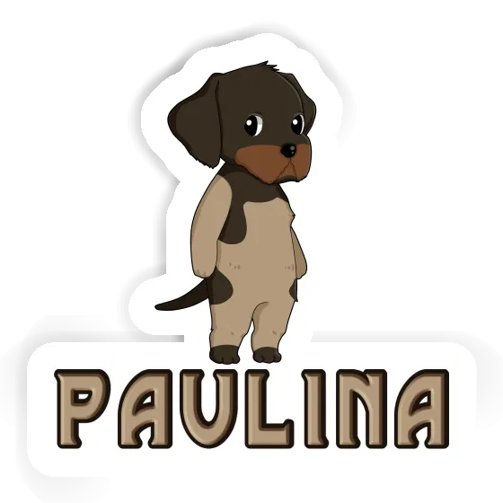 Sticker Paulina German Wirehaired Gift package Image