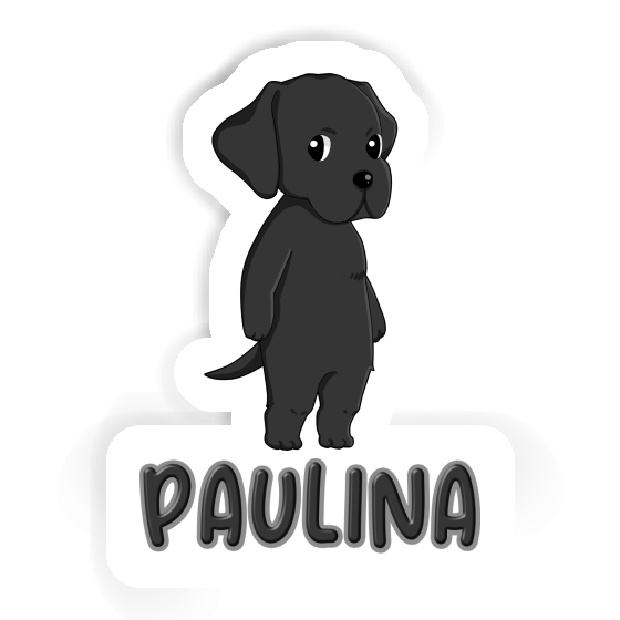 Paulina Sticker Labrador Retriever Gift package Image