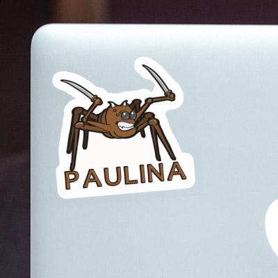 Fighting Spider Sticker Paulina Gift package Image