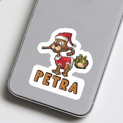 Petra Sticker Weihnachtskatze Notebook Petra Sticker Weihnachtskatze Notebook Image