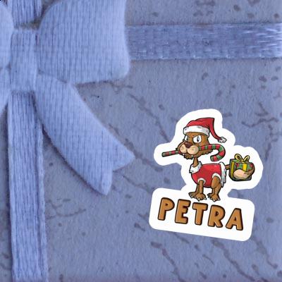 Autocollant Chat de Noël Petra Notebook Autocollant Chat de Noël Petra Gift package Image