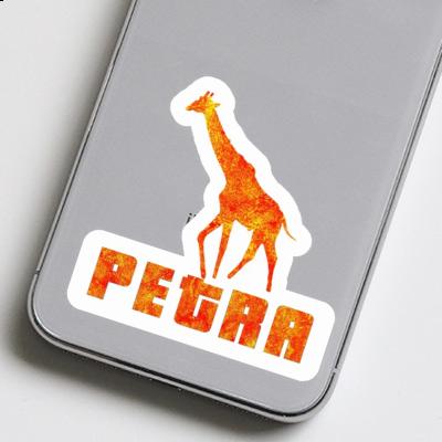 Autocollant Girafe Petra Notebook Autocollant Girafe Petra Gift package Image