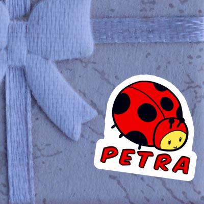 Autocollant Coccinelle Petra Gift package Image