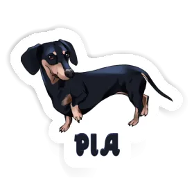 Pia Sticker Dachshund Image