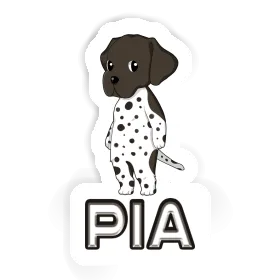 Autocollant Braque Allemand Pia Image