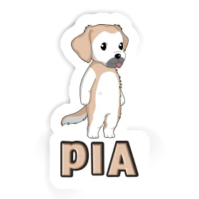 Autocollant Golden Retriever Pia Image