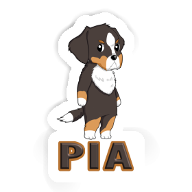 Sticker Bernese Mountain Dog Pia Image