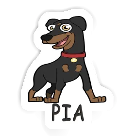 Sticker German Pinscher Pia Image