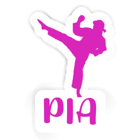 Karateka Sticker Pia Image