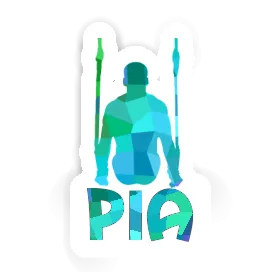 Ringturner Sticker Pia Image